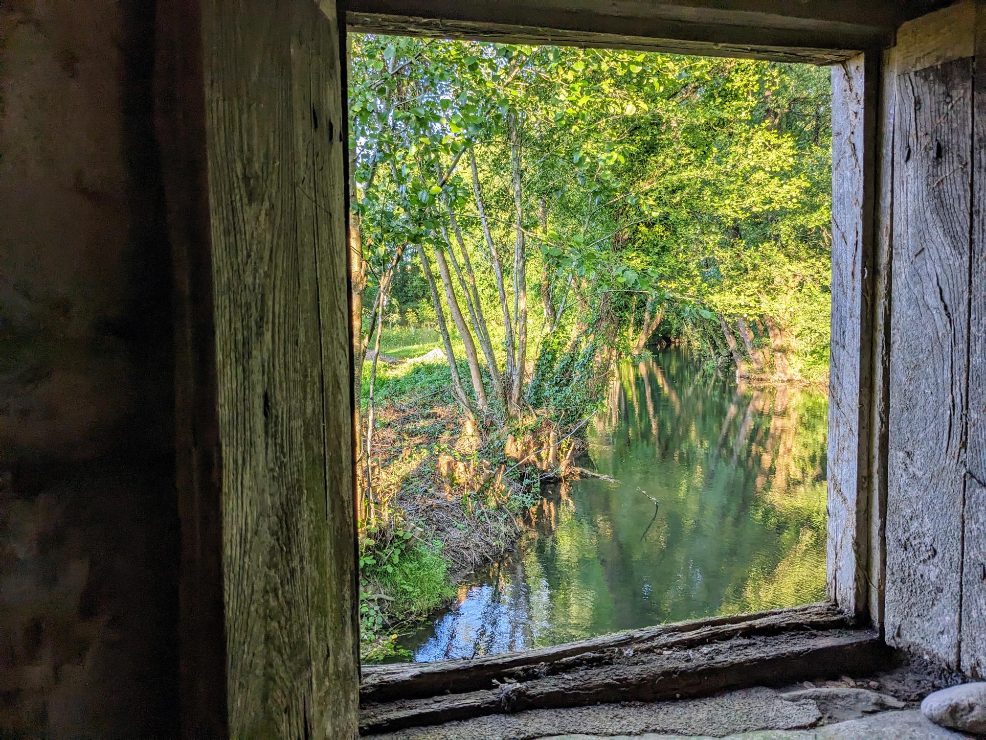 Detalle ventana